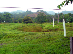 The formerly brimming ponds are now just long deep holes in one end of the acreage. 